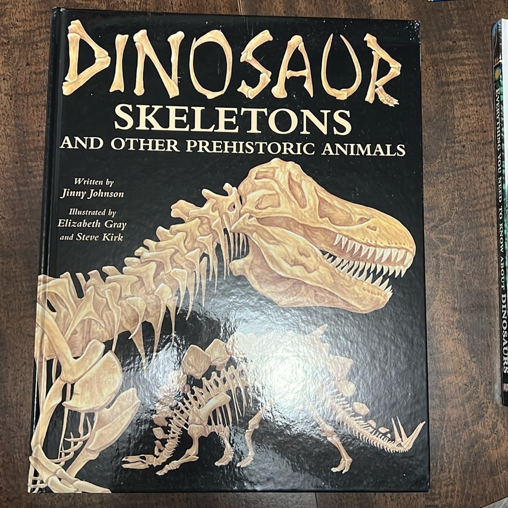 3- Piece Educational Dinosaur Book Set